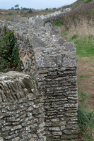img46